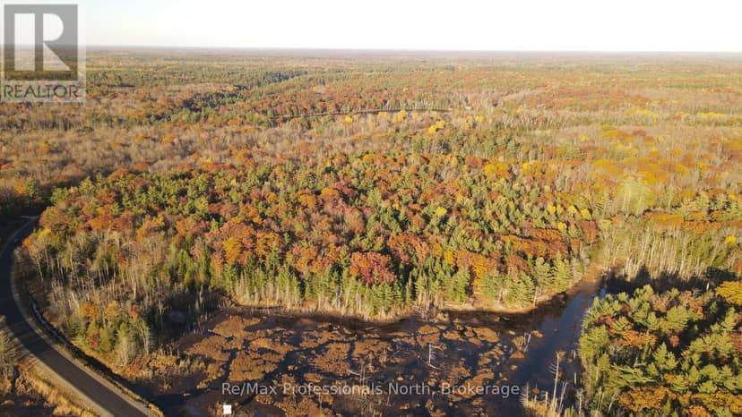00 Muskoka Rd 38 Road, Muskoka Lakes, photo 7