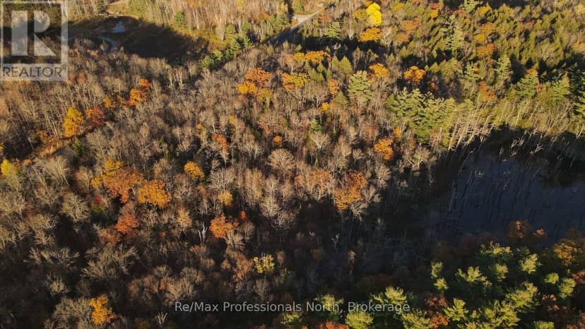 00 Muskoka Rd 38 Road — photo 9 of 14