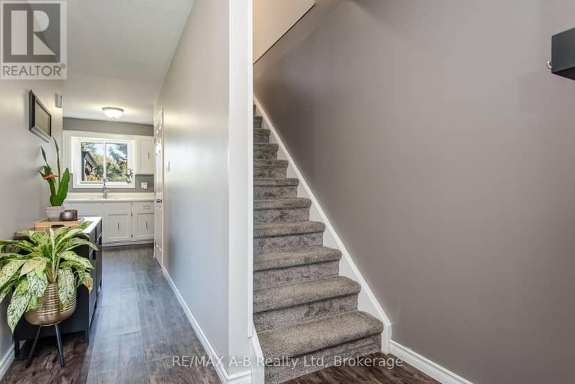 254 Louise Street — photo 23 of 40