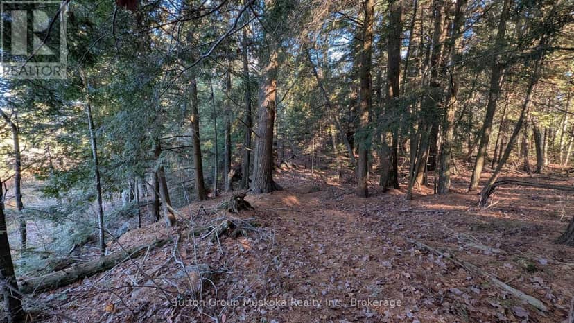 1448 Limberlost Road — photo 14 of 24
