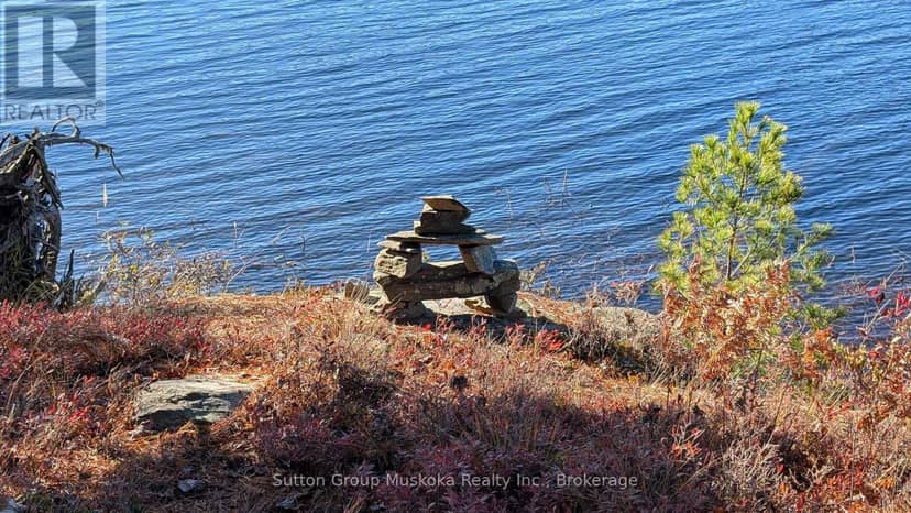 1448 Limberlost Road, Lake of Bays, photo 4