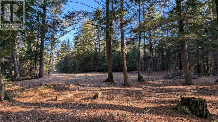 1448 Limberlost Road, Lake of Bays, photo 6