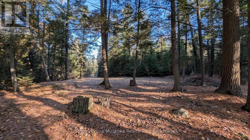 1448 Limberlost Road, Lake of Bays, photo 7