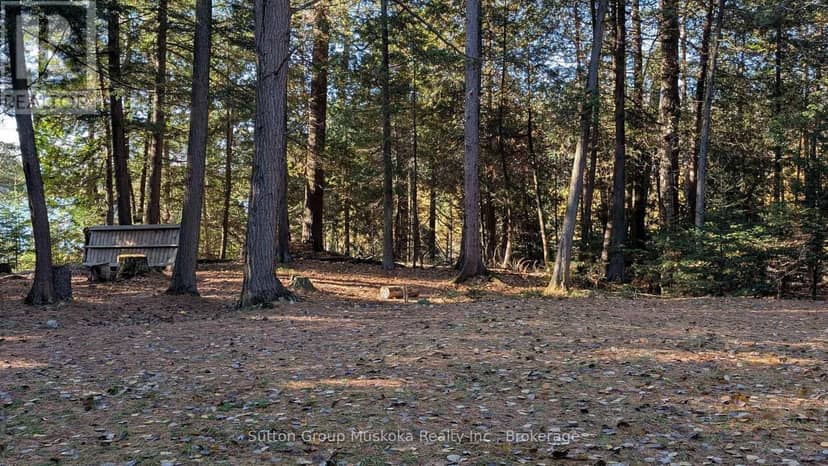 1448 Limberlost Road, Lake of Bays, photo 8