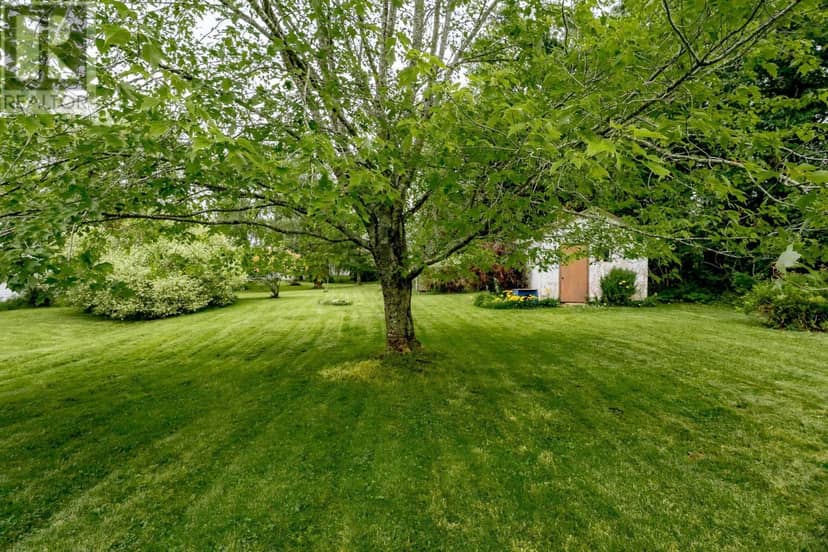 114 Kitchener Street — photo 24 of 33