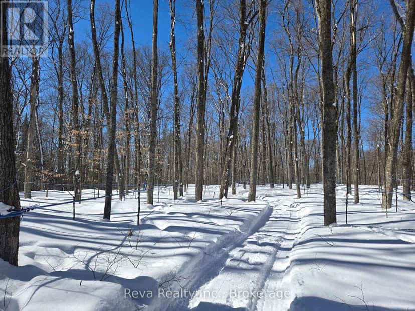 89 Stewart Road, Bancroft, photo 4