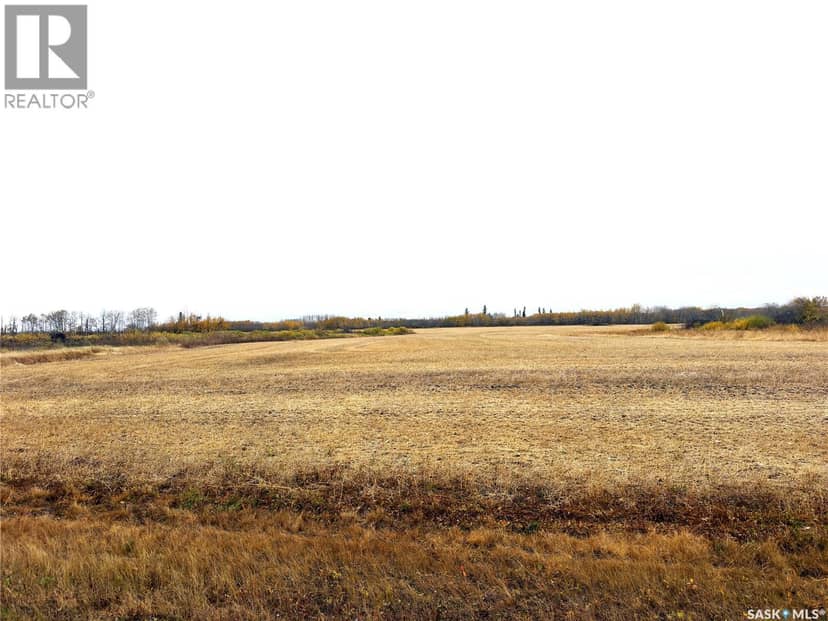 Hall Farmland, Hudson Bay Rm No. 394, photo 5