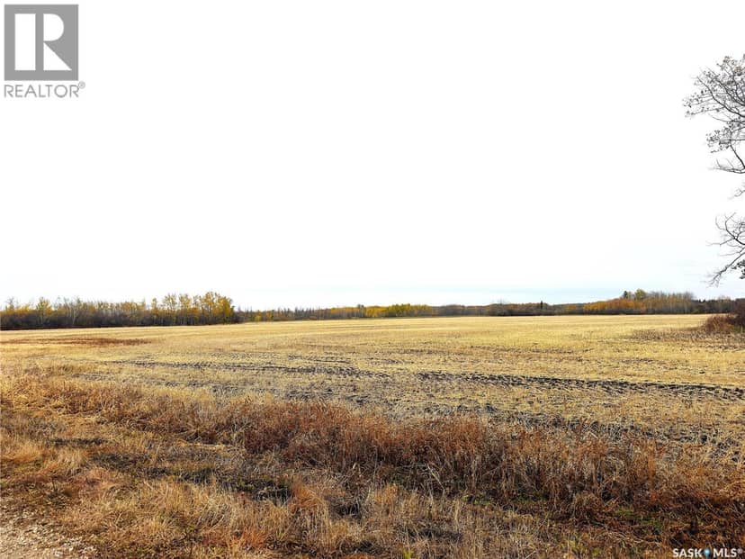 Hall Farmland, Hudson Bay Rm No. 394, photo 7
