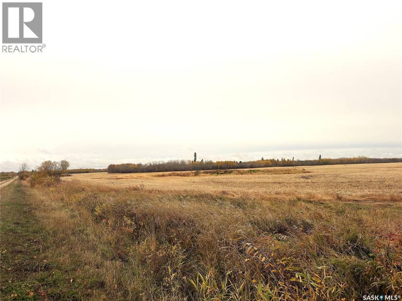 Hall Farmland, Hudson Bay Rm No. 394, photo 2