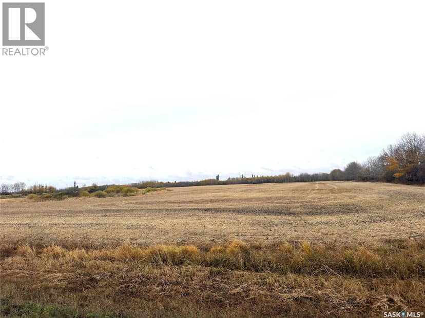 Hall Farmland, Hudson Bay Rm No. 394, photo 3