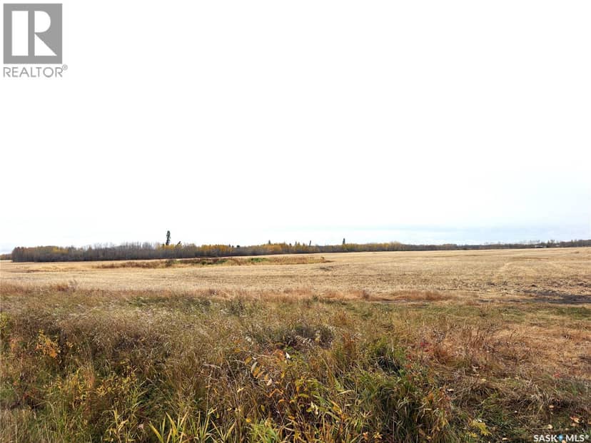 Hall Farmland, Hudson Bay Rm No. 394, photo 6