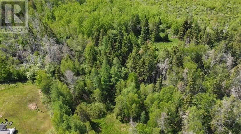 No 6 Trunk Highway — photo 2 of 2