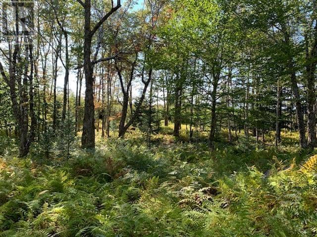 Block 3 No 316 Highway, Country Harbour, photo 5