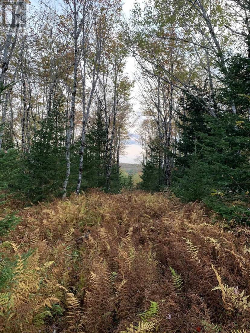 Block 7 No 316 Highway, Country Harbour, photo 3