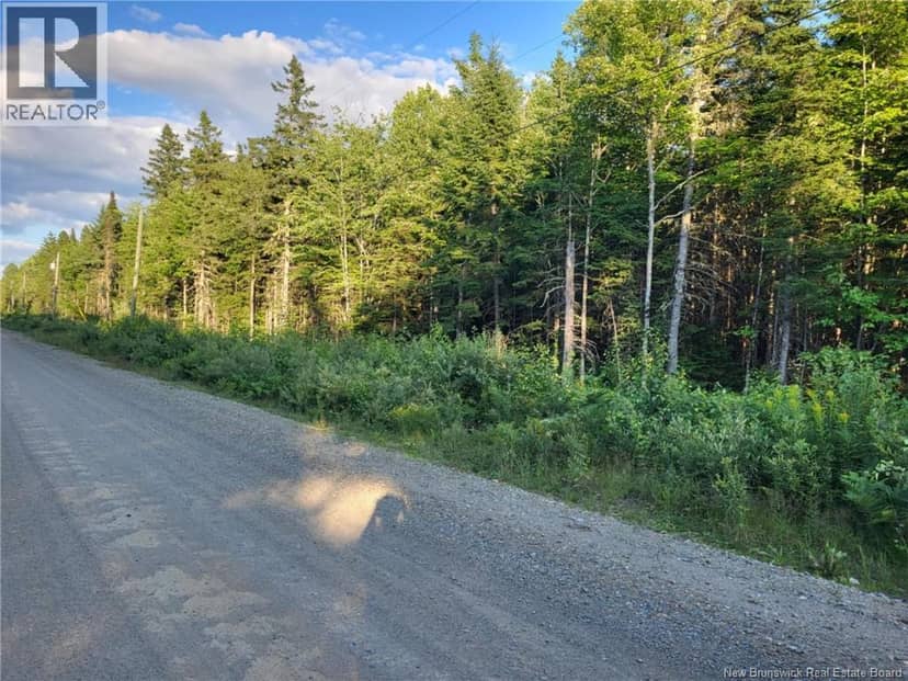 Lot P Zionville Road, Taymouth, photo 2