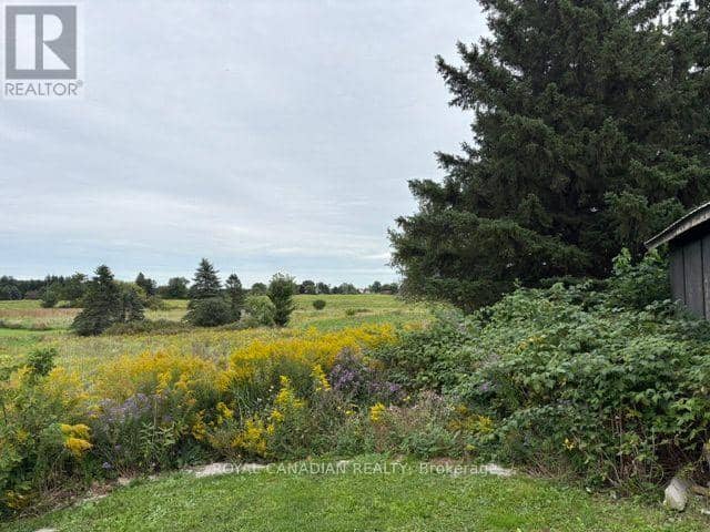 802 Highway 6, Haldimand, photo 6