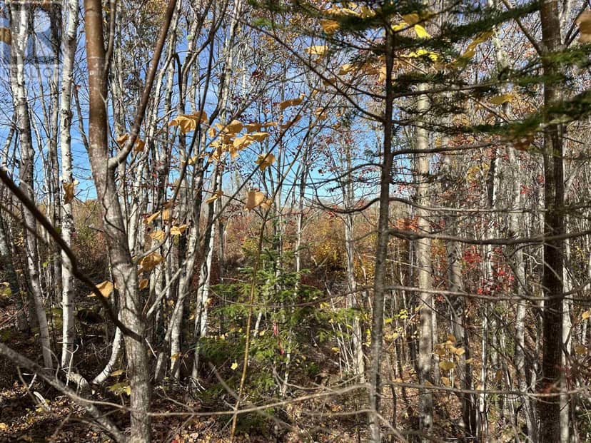 Lot 7 North River Road, Aylesford Lake, photo 4