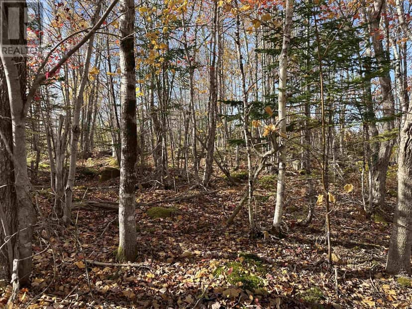 Lot 7 North River Road, Aylesford Lake, photo 5