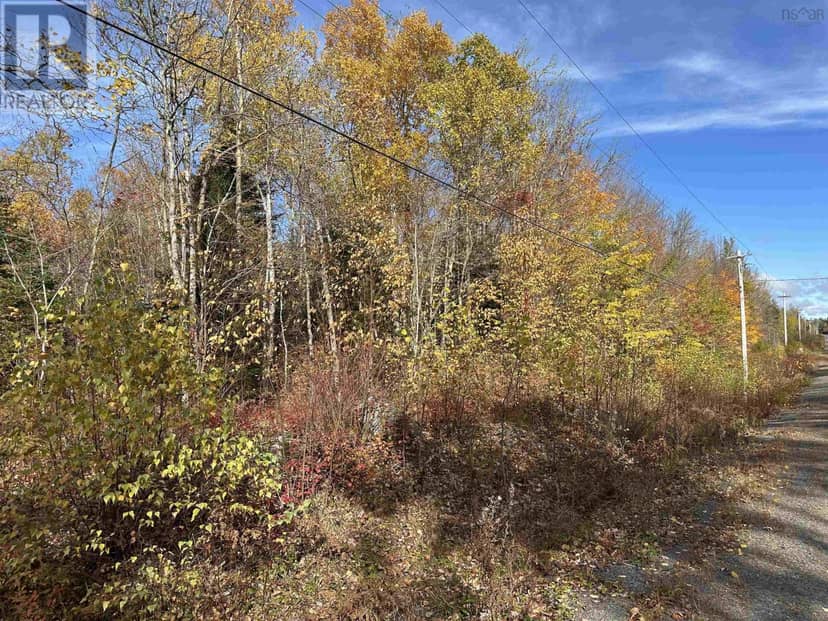 Lot 7 North River Road, Aylesford Lake, photo 8