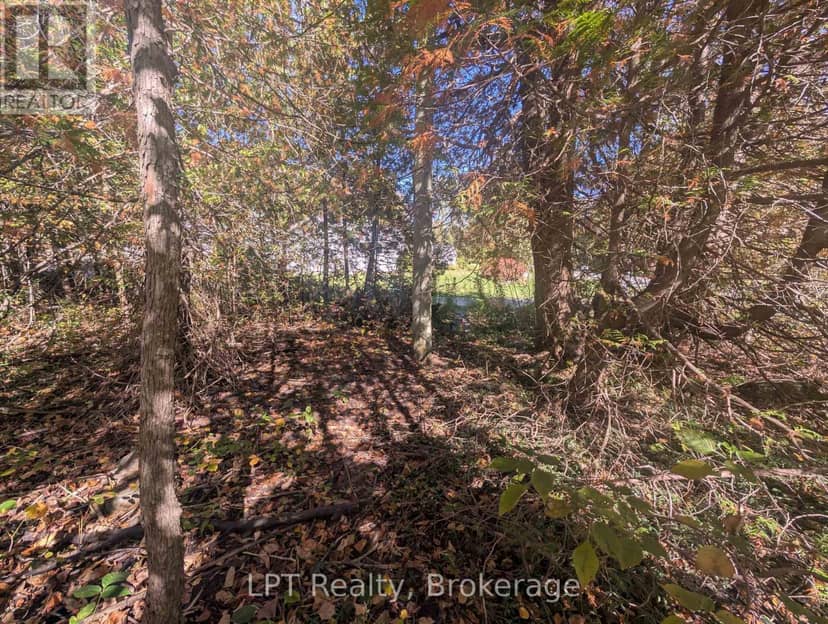 Lt 166 Mallory Beach Road — photo 14 of 19