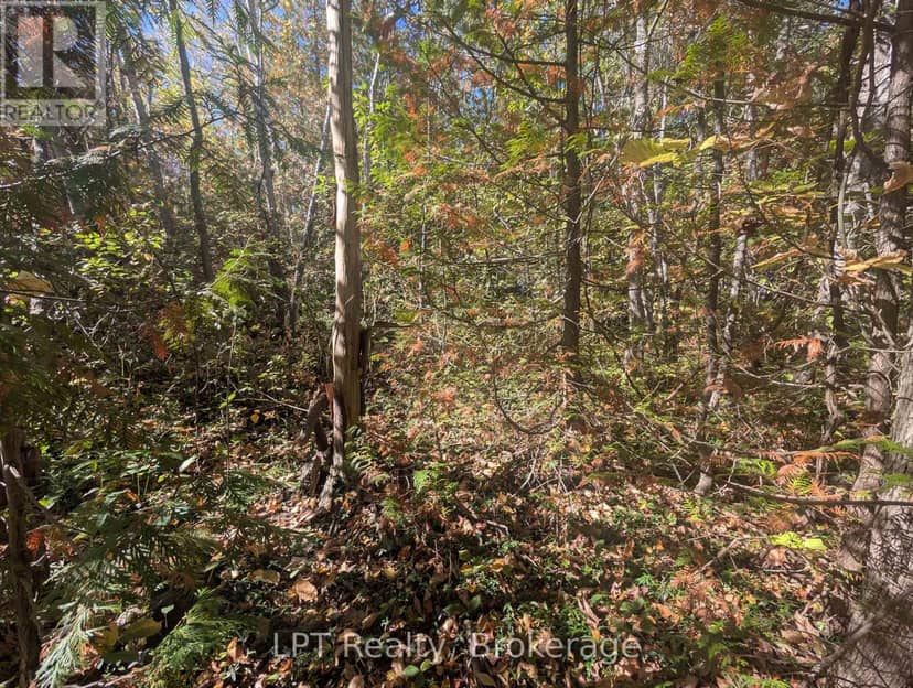 Lt 166 Mallory Beach Road — photo 19 of 19