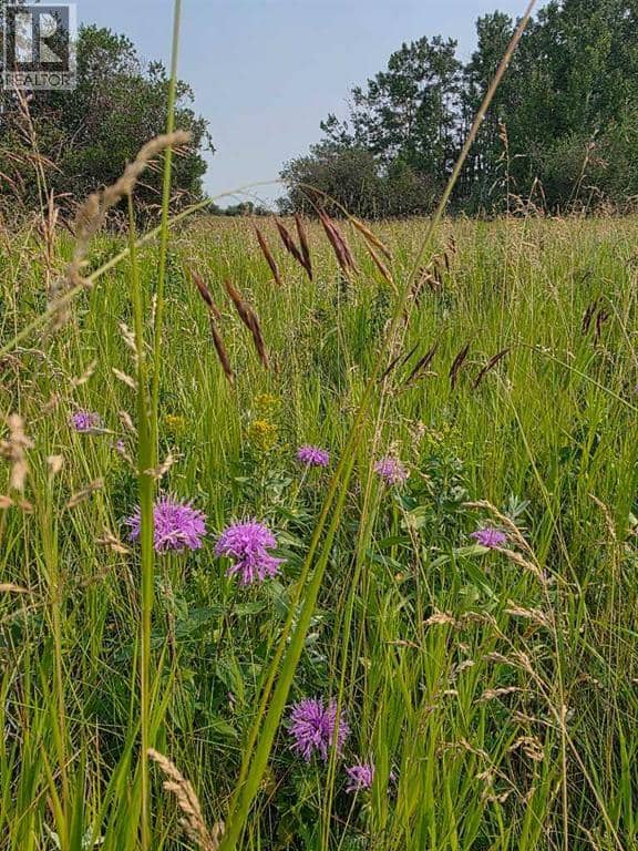 Hwy 783 Rural Foothills County — photo 19 of 27