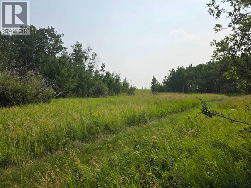 Hwy 783 Rural Foothills County, Rural Foothills County, photo 5