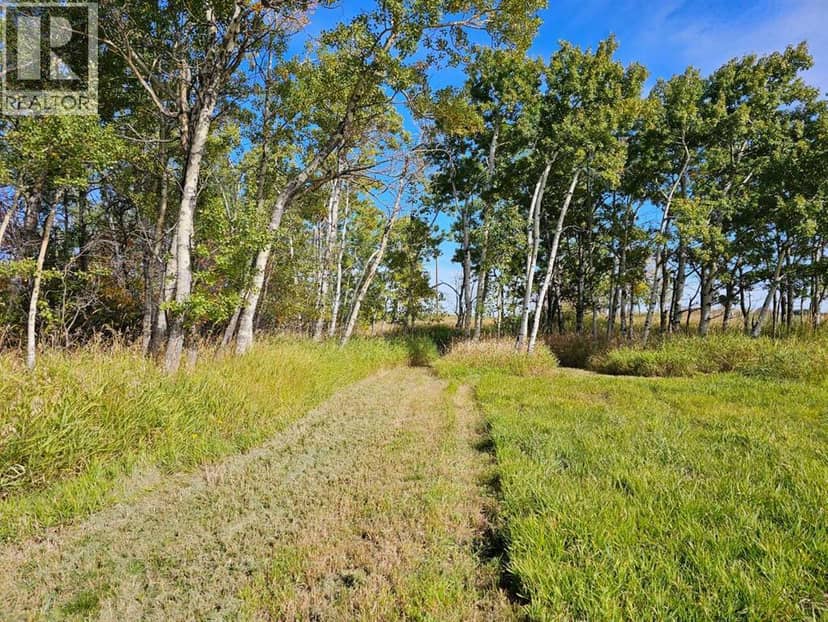 Hwy 783 Rural Foothills County — photo 17 of 27