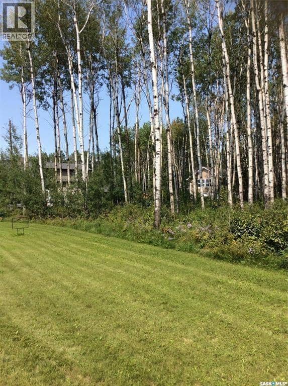 Northwood Shores Lot 13, Delaronde Lake, photo 2