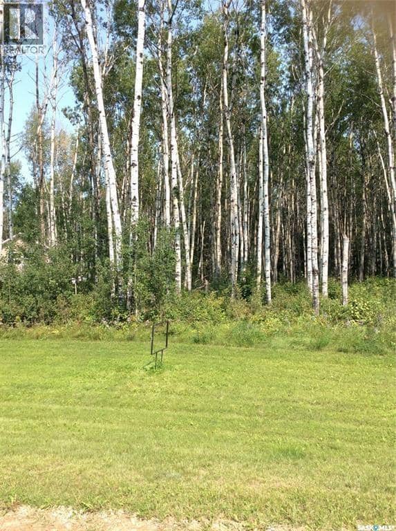 Northwood Shores Lot 13, Delaronde Lake, photo 3