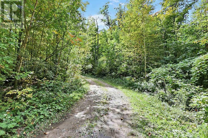 2442 Champlain Road, Tiny, photo 7