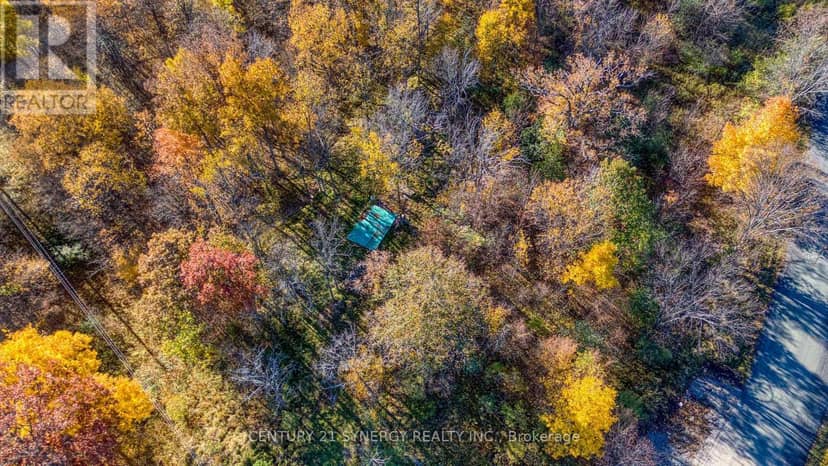 635 Miner's Point Rd, RR3 Road — photo 10 of 21