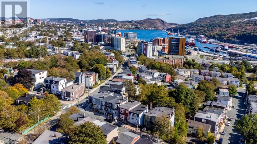133 Patrick Street, St. John's, photo 6