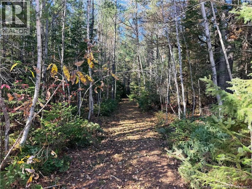 Lot 2 Route 112, Coles Island