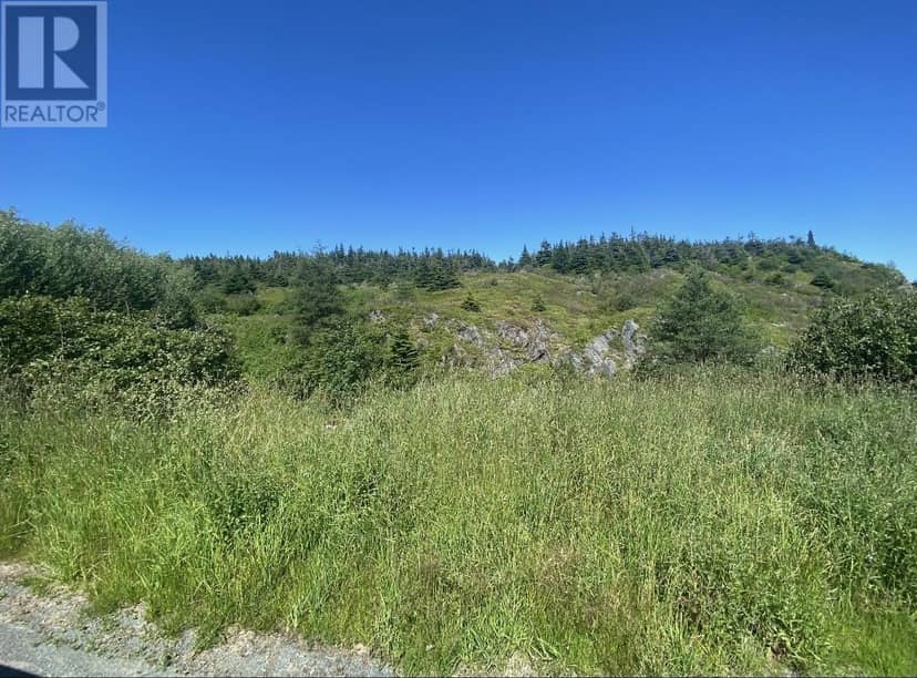 0 Dunphys Hill — photo 39 of 40