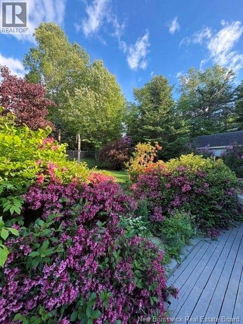 160 Meenans Cove Road — photo 37 of 40