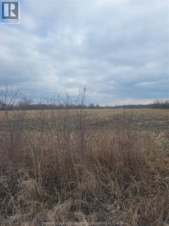V/L McLeod, Amherstburg