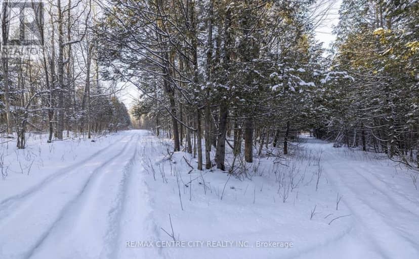 19267 County 25 Road — photo 18 of 31