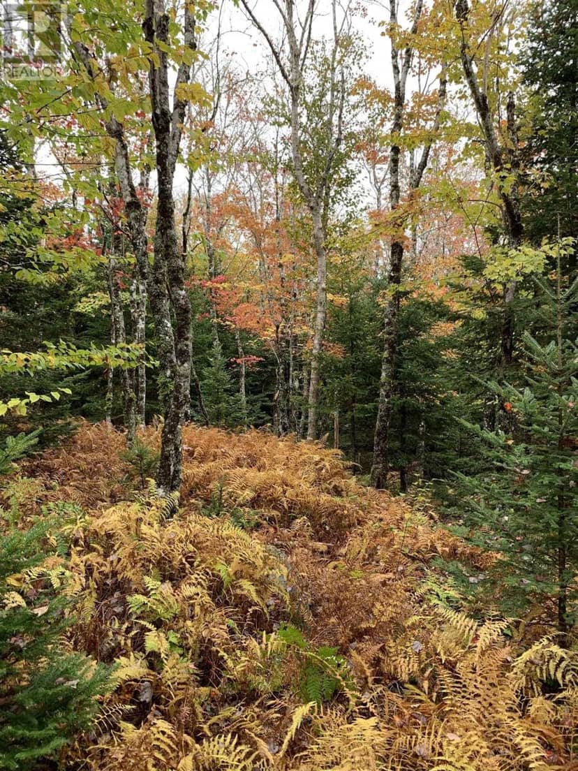 Block 1 No 316 Highway, Country Harbour, photo 2