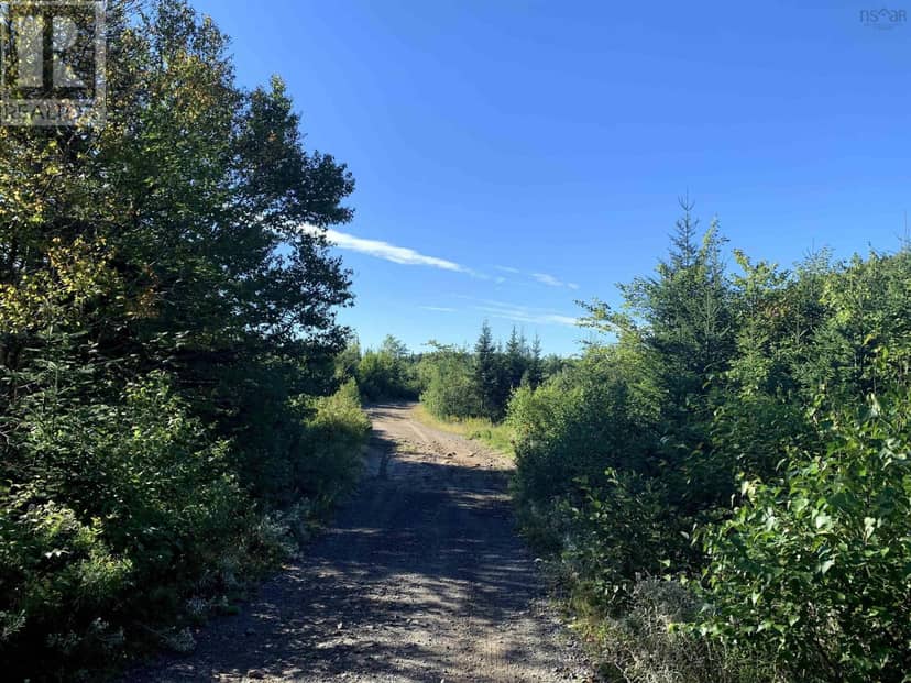 Block 1 No 316 Highway, Country Harbour, photo 6