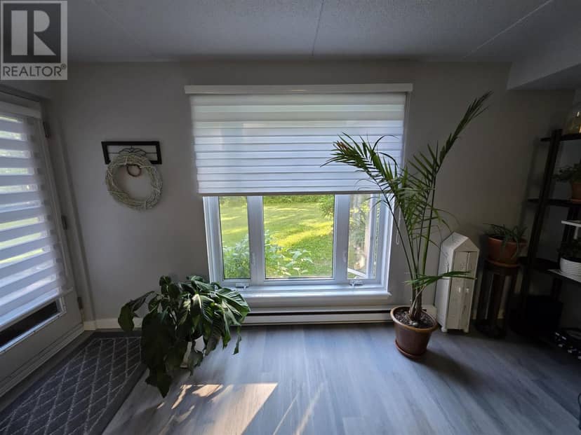 303 MacDonald AVE # 208 — photo 10 of 33