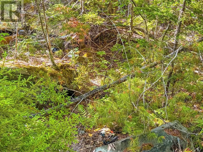 Lot (PID 70126610) Ponhook Shore Road, Labelle, photo 8