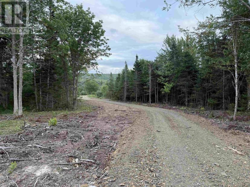 Lot 29 Mull River Road — photo 7 of 16
