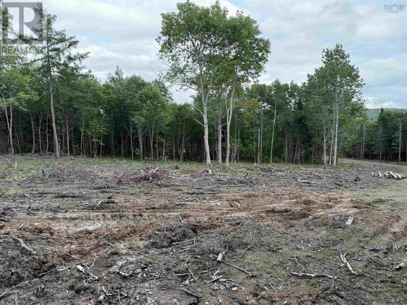 Lot 29 Mull River Road — photo 4 of 16