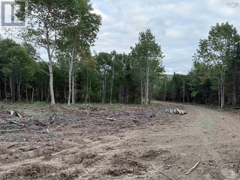 Lot 29 Mull River Road — photo 3 of 16