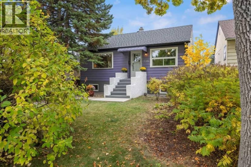 239 24 Avenue NE, Calgary