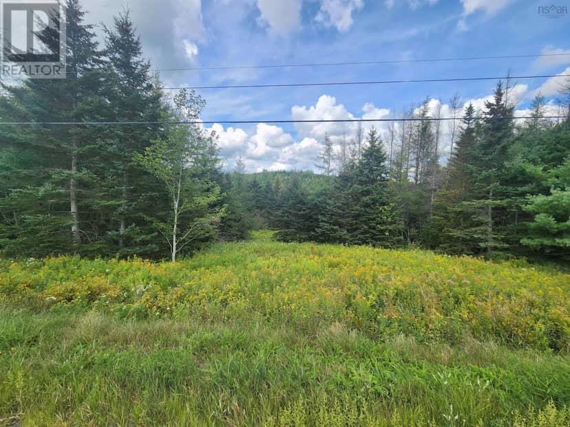 Lot 236 Highway — photo 3 of 3