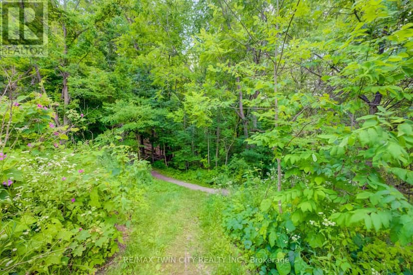 569 Violet Street — photo 35 of 40