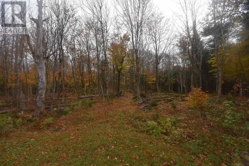 271 SUTHERLAND Road — photo 15 of 16