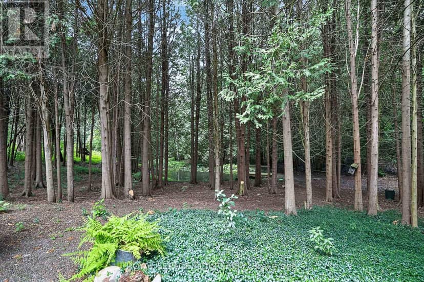 502 Townline Road — photo 33 of 40